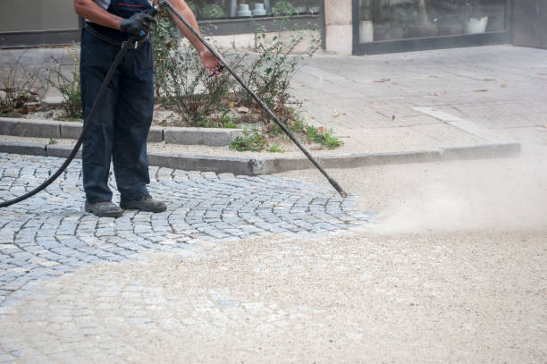 Animal Enclosure Cleaning in Lexington, SC